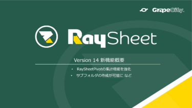 RaySheetアップデート：RaySheetPivotの集計機能を強化 など 2022年8月