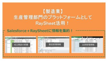 【製造業】生産管理部門のプラットフォームとしてRaySheet活用！