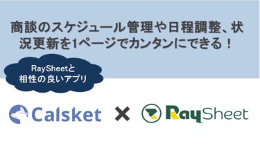 Raykit 【初めての方必見!】SalesforceをExcelのように使えるRaySheetとは? - RayKit活用ブログ-Salesforceと ...