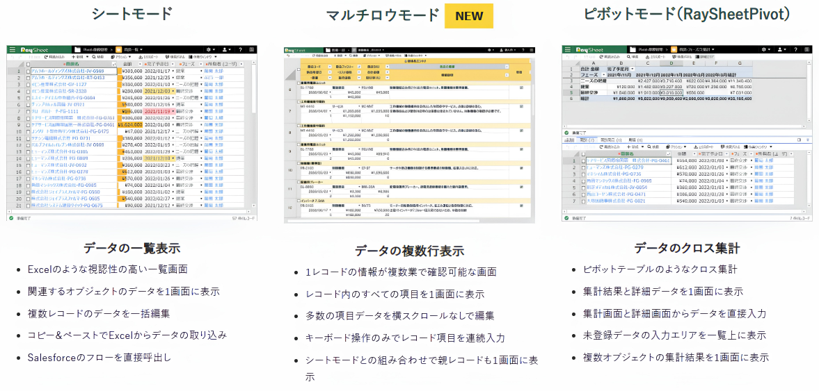 Raykit マルチロウモードとは?RaySheetで管理項目の多いレコード入力・確認を効率化 - RayKit活用ブログ-SalesforceとExcel ...